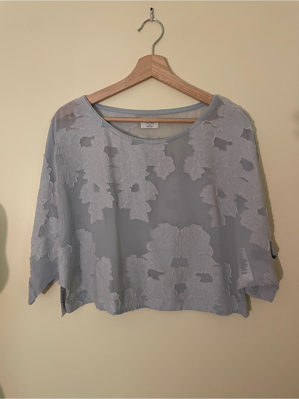 Aritzia Wilfred Blayze Shirt
